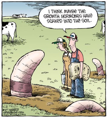 gmo-cartoons-growth-hormones-101